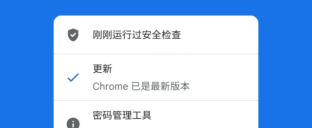 Chrome 安全检查结果界面